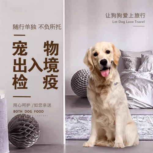 韶关市宠物托运到哥伦比亚猫狗宠物入境规定和
