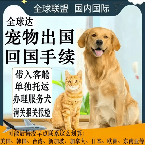 韶关市宠物托运到柬埔寨宠物入境规定和要求