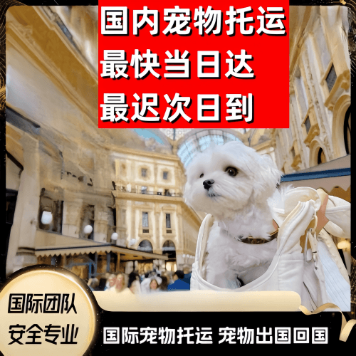 韶关市到澳大利亚（澳洲）宠物入境规定和要求