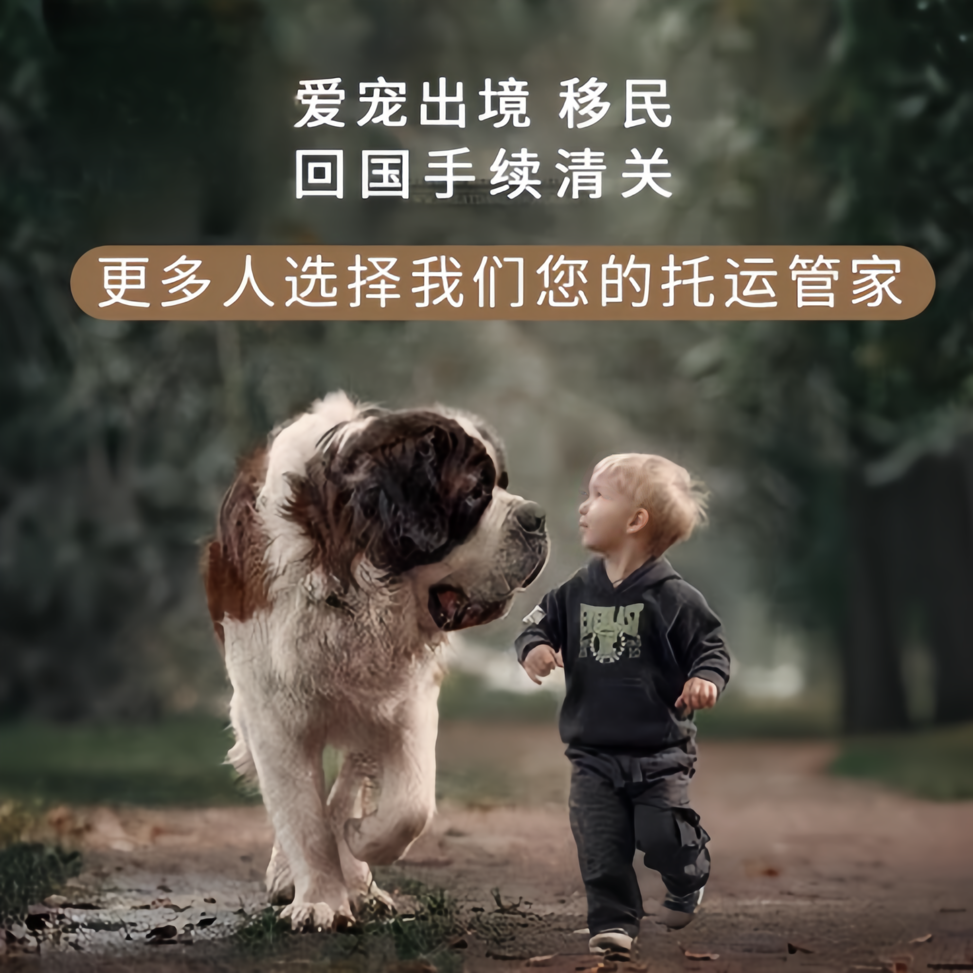 满财韶关市宠物全球达宠物托运在遵守入境目的地政策的条件