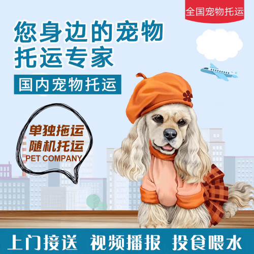 满财韶关市宠物全球达宠物托运作为专业的宠物运输代理机构